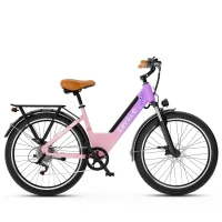 CYBERVELO EK2 Electric Bike product image view 1
