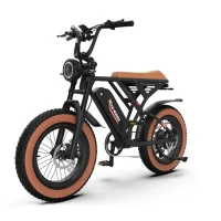 5TH WHEEL Knight Retro Electric Bike product image view 4