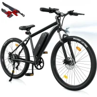 ISINWHEEL M10s Electric Commuter Bike product image view 1