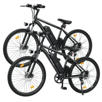 ISINWHEEL M10s Electric Commuter Bike product image view 3
