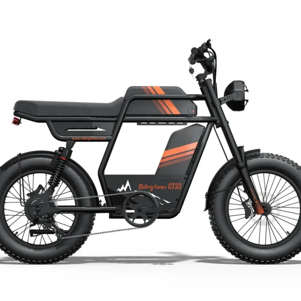 RIDING TIME'S GT33 All-Terrain Cafe Racer Cargo Electric Bike product image view 2