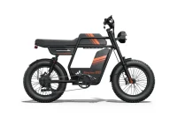RIDING TIME'S GT33 All-Terrain Cafe Racer Cargo Electric Bike product image view 2