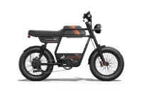 RIDING TIME'S GT33 All-Terrain Cafe Racer Cargo Electric Bike product image view 19