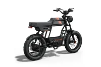 RIDING TIME'S GT33 All-Terrain Cafe Racer Cargo Electric Bike product image view 12