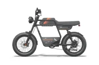 RIDING TIME'S GT33 All-Terrain Cafe Racer Cargo Electric Bike product image view 11