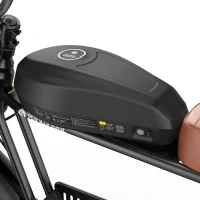 ISINWHEEL R6 Pro Electric Dirt Bike product image view 12