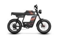 RIDING TIME'S GT33 All-Terrain Cafe Racer Cargo Electric Bike product image view 9