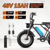 INVANTI EB16 removable 48 V battery and charging equipment