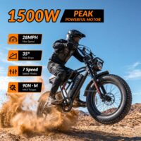 INVANTI EB16 1500 W peak motor performance